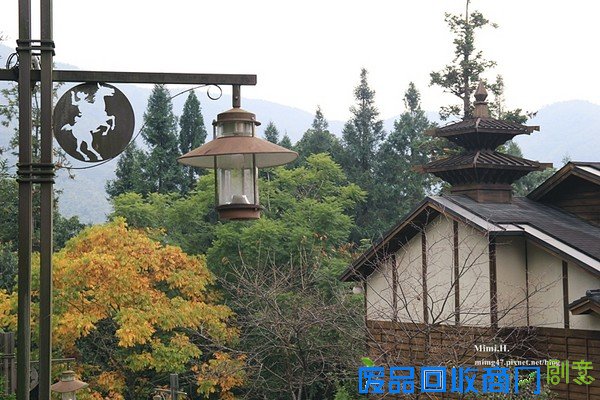 災後重生更美!粉嫩櫻花點綴超夢幻 南投內湖森林國小