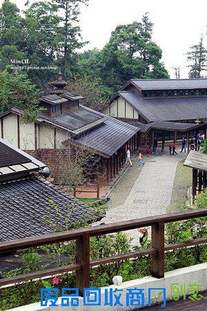 災後重生更美!粉嫩櫻花點綴超夢幻 南投內湖森林國小