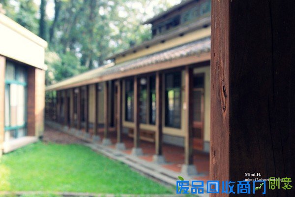 災後重生更美!粉嫩櫻花點綴超夢幻 南投內湖森林國小