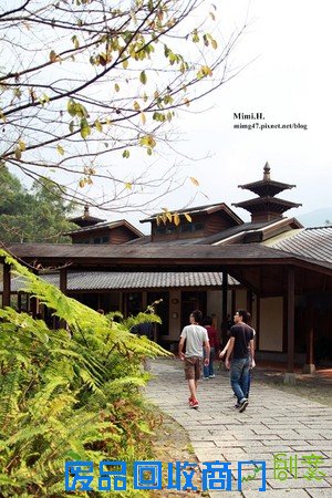 災後重生更美!粉嫩櫻花點綴超夢幻 南投內湖森林國小