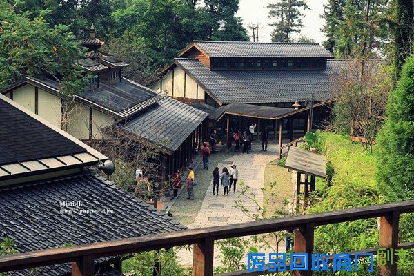 災後重生更美!粉嫩櫻花點綴超夢幻 南投內湖森林國小