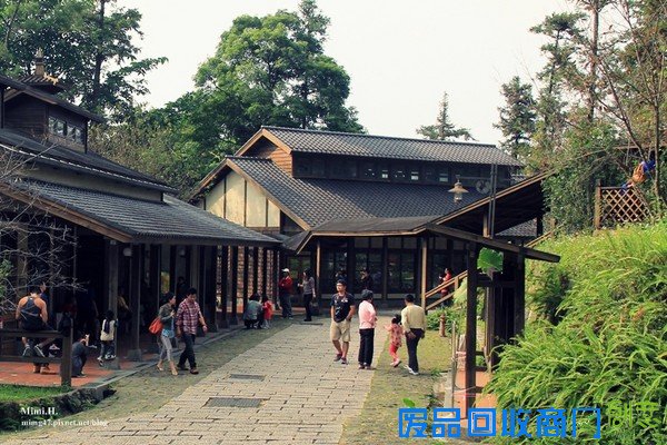 災後重生更美!粉嫩櫻花點綴超夢幻 南投內湖森林國小