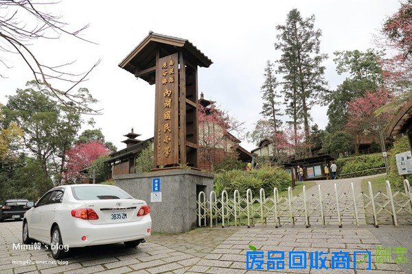 災後重生更美!粉嫩櫻花點綴超夢幻 南投內湖森林國小