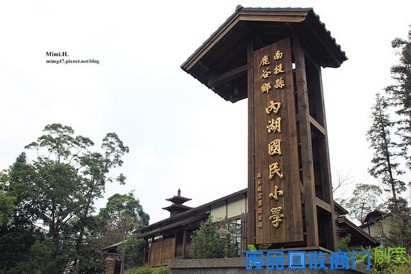 災後重生更美!粉嫩櫻花點綴超夢幻 南投內湖森林國小