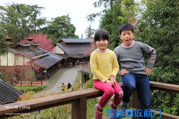 災後重生更美!粉嫩櫻花點綴超夢幻 南投內湖森林國小