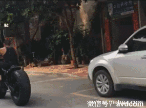 车坛囧事:车友嘴翻天 4S店试车像遛狗