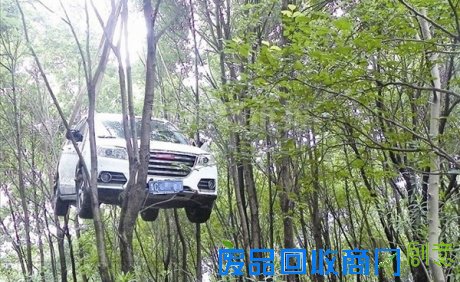 车坛囧事:车友嘴翻天 4S店试车像遛狗