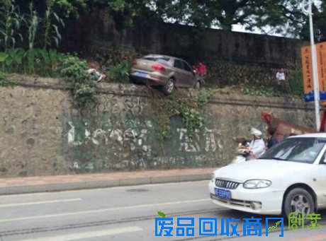 车坛囧事:车友嘴翻天 4S店试车像遛狗