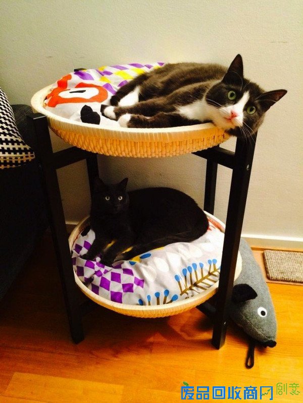 那些讨猫猫狗狗喜欢的宠物家具