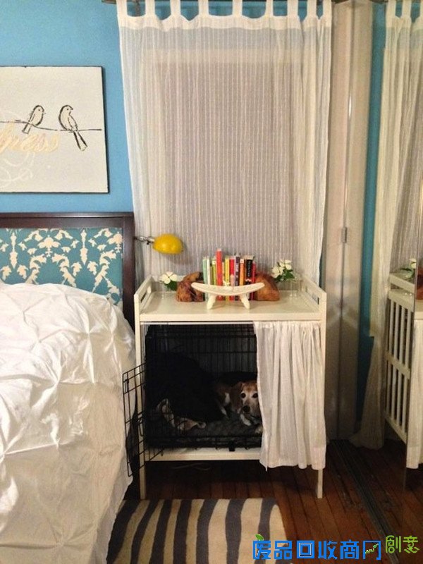 那些讨猫猫狗狗喜欢的宠物家具