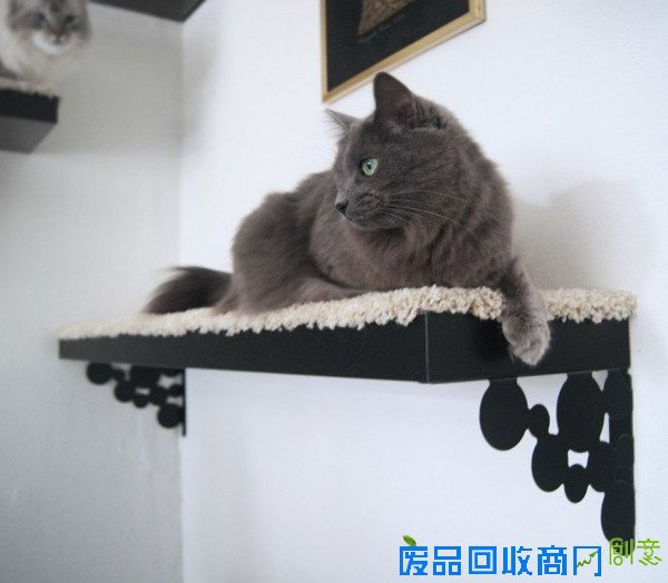 那些讨猫猫狗狗喜欢的宠物家具