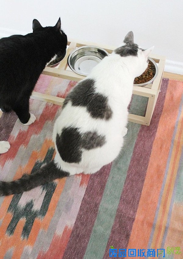 那些讨猫猫狗狗喜欢的宠物家具