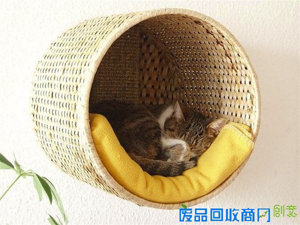 那些讨猫猫狗狗喜欢的宠物家具