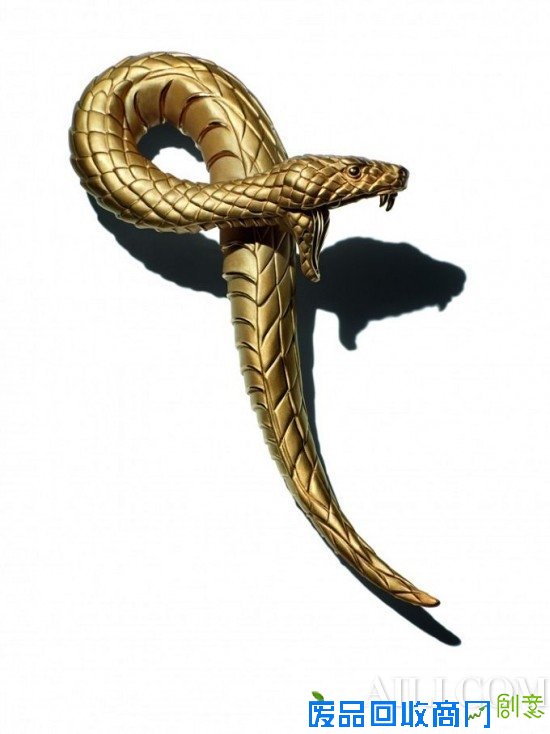 危险出没请注意 凶猛动物珠宝个性十足