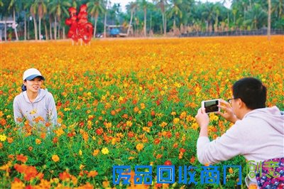 阳春三月 带她去海南看“花花世界”