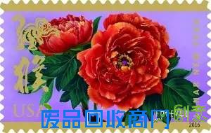 孙悟空是金丝猴还是猕猴? 这些猴事儿你未必都清楚[图]