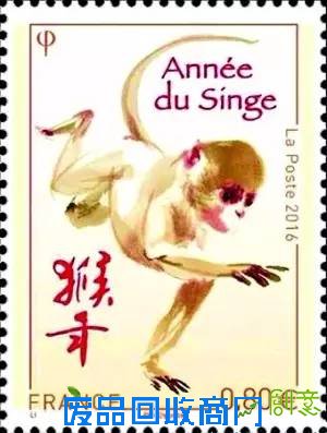 孙悟空是金丝猴还是猕猴? 这些猴事儿你未必都清楚[图]