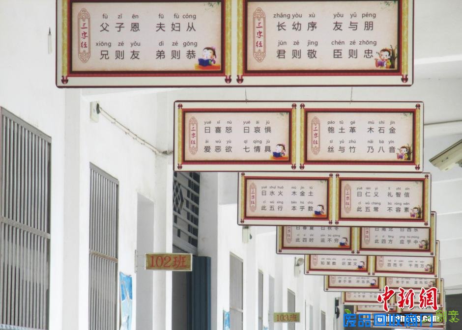 安徽一教学楼走廊挂满国学经典句子 成独特风景