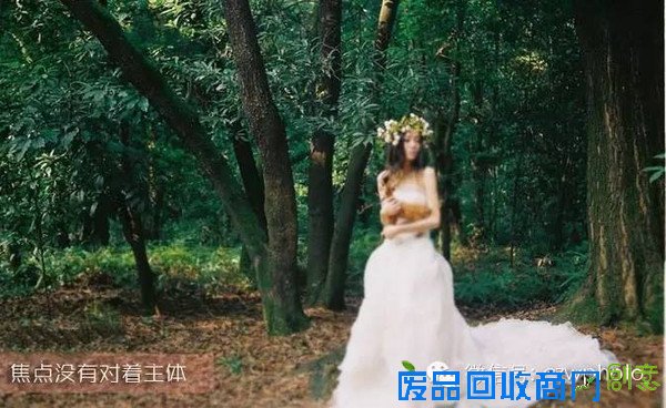 【美行摄影】论如何搞砸一张美图,你中招了吗?