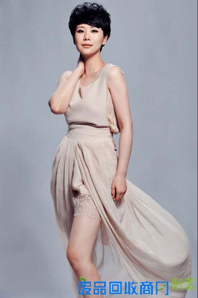 孙俪王宝强海清陆毅陈好 盘点娱乐圈的零绯闻明星