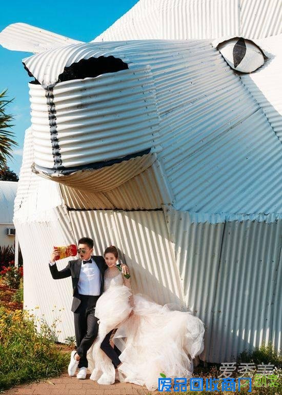 吴奇隆刘诗诗婚纱照首曝光 深情对视唯美浪漫 刘诗诗婚纱照