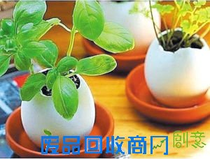 据聚巧网4月21日报道