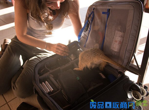 真实版美女与野兽 摄影师探险与动物友爱牵手（组图）