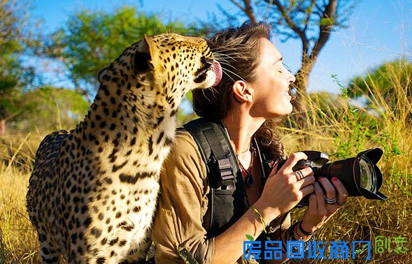 真实版美女与野兽 摄影师探险与动物友爱牵手（组图）