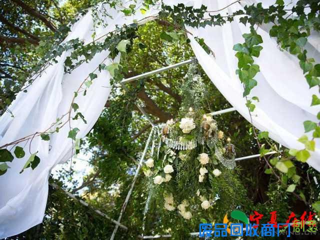 王阳明蔡诗芸澳洲大婚，唯美婚纱照曝光