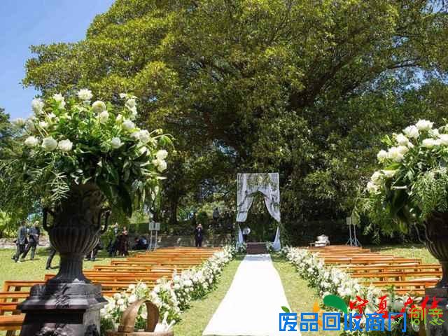 王阳明蔡诗芸澳洲大婚，唯美婚纱照曝光