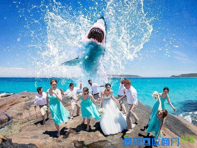 创意又唯美的婚纱照 夫妇拍婚纱照大白鲨入镜