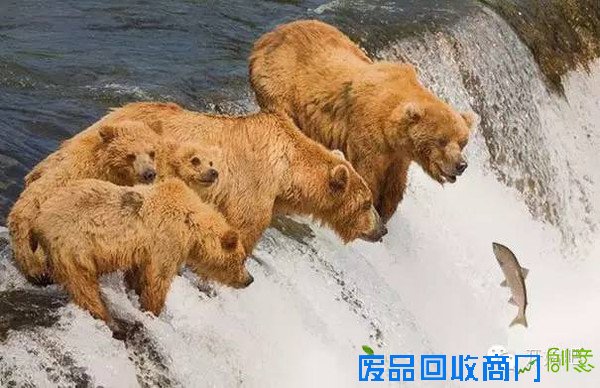 她用海浪，拍了一幅纯白唯美的婚纱照，美哭了