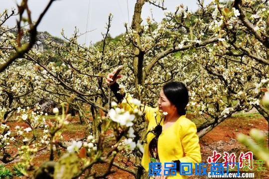 美女花丛中拍照