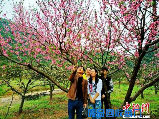 美女花丛中拍照