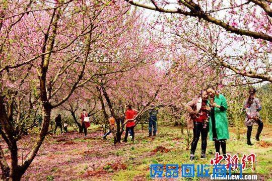 美女花丛中拍照