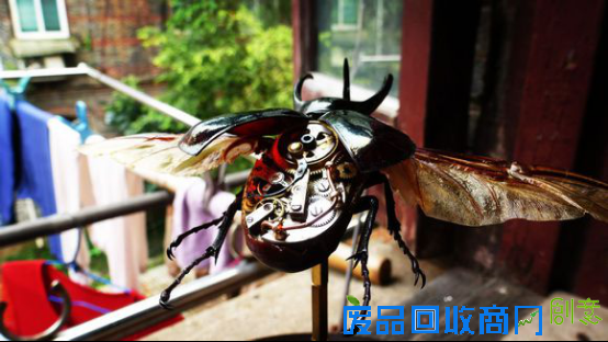 百度贴吧90后少年爱上蒸汽昆虫艺术 为梦想坚持不懈从兴趣变事业