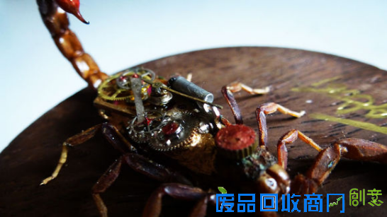 百度贴吧90后少年爱上蒸汽昆虫艺术 为梦想坚持不懈从兴趣变事业