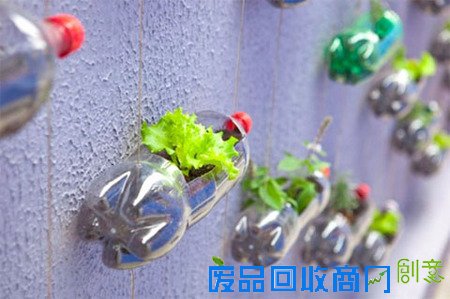 【家居生活】创意DIY塑料瓶垂直花园