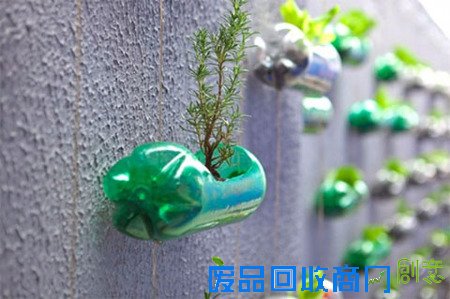 【家居生活】创意DIY塑料瓶垂直花园