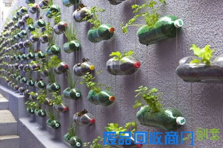 【家居生活】创意DIY塑料瓶垂直花园