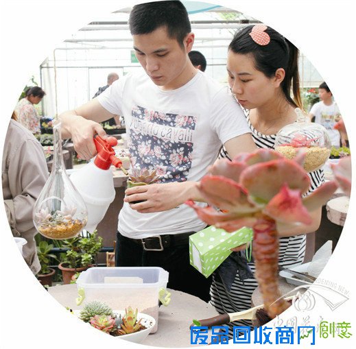 多肉花园玩起来