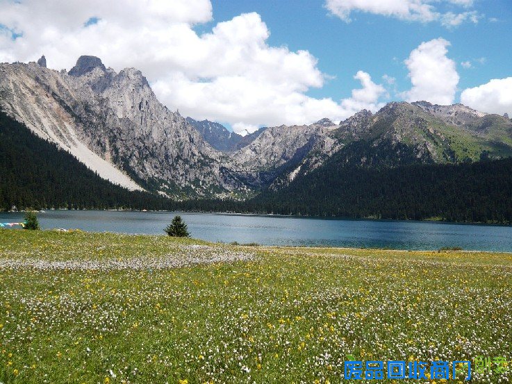 巴塘仙子蚂蜂窝图片