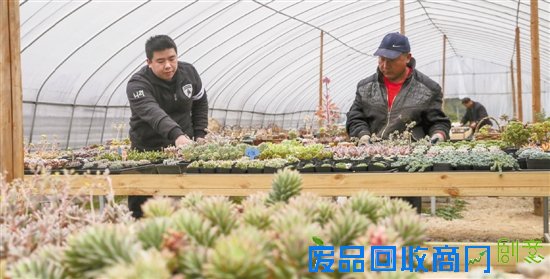 温州“多肉植物”创意园将开放