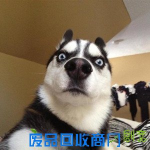 传奇永恒趣味数据十宗“最” 某玩家已死亡3013次