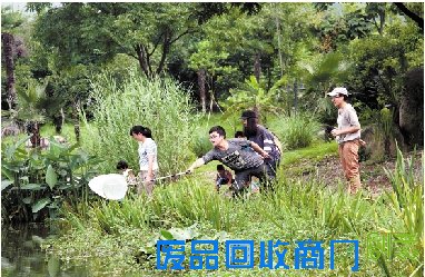 野外追踪 捕捉昆虫