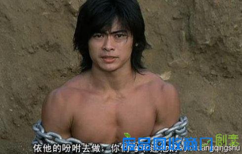 扒扒功夫影星樊少皇从主角沦为配角内幕