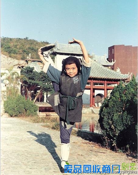 扒扒功夫影星樊少皇从主角沦为配角内幕