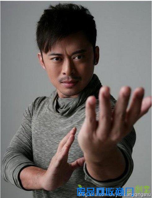 扒扒功夫影星樊少皇从主角沦为配角内幕