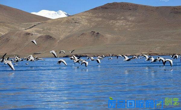 那些在大牌景点旁 被遗忘的天堂