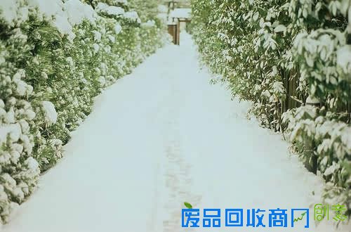 十四条励志名言让你的人生不再迷茫